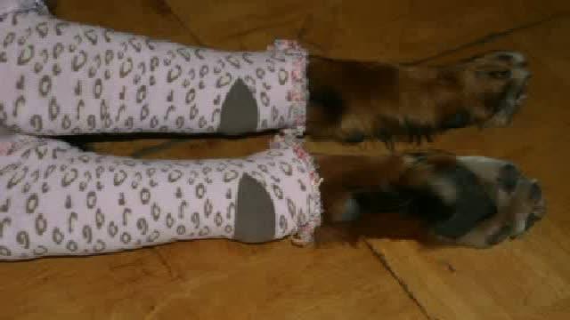 malenka_plus video [2015/10/02 21:15:51]