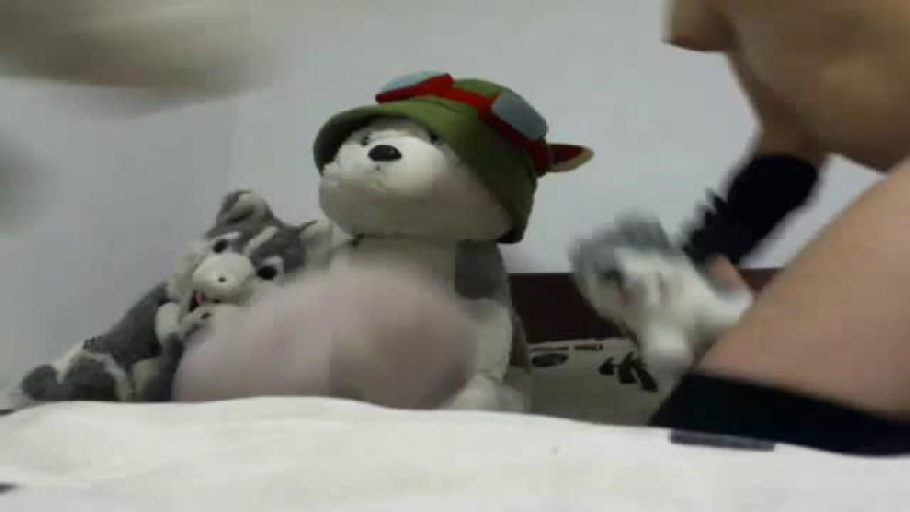 LycanBirthday [2018-08-17 04:11:03]