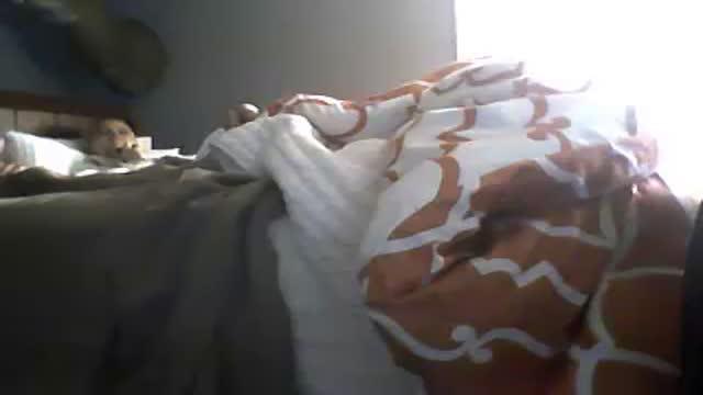 kittycat476