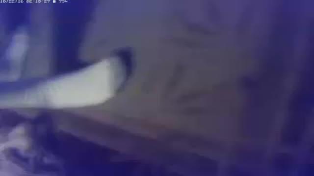 elcajonsub porno [2016/10/22 11:10:53]