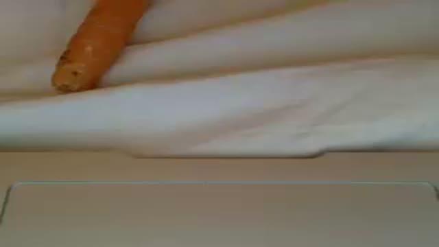 3791liv download [2016/03/21 06:01:48]