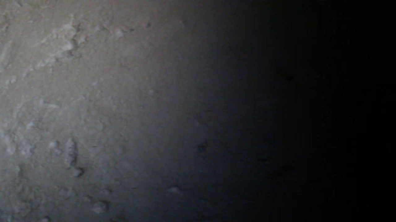 Tifannycrazy [2018-06-12 07:34:27]