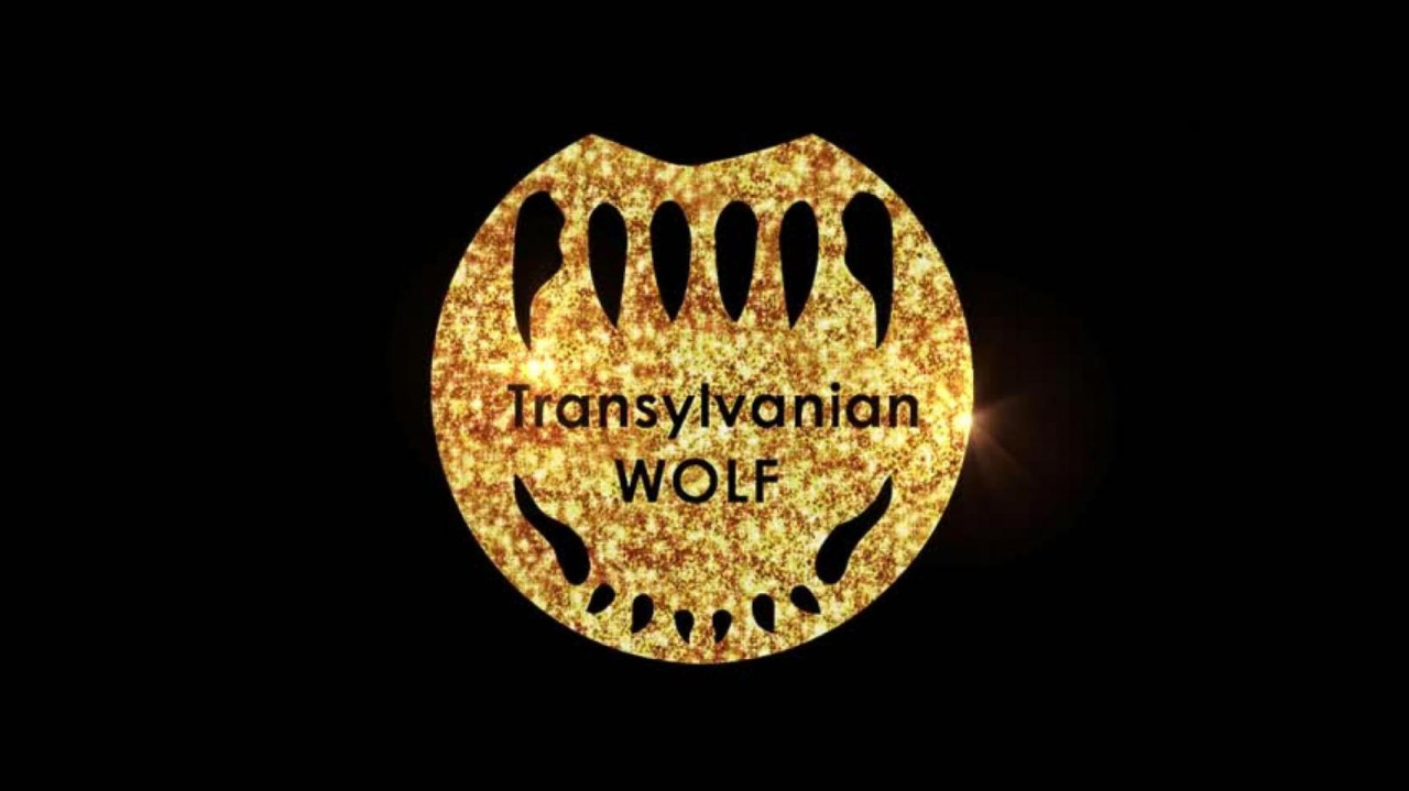 transylvanian_wolf video sex release [2021/12/19]