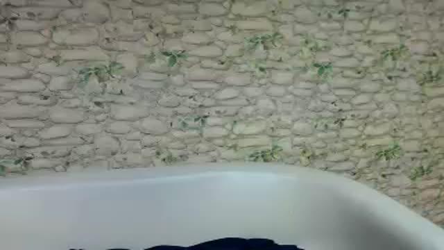 petraqueen