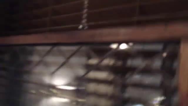 realmorganbailey video [2016/12/11 23:30:54]
