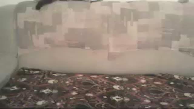 seducttive4u download [2015/11/13 01:19:45]