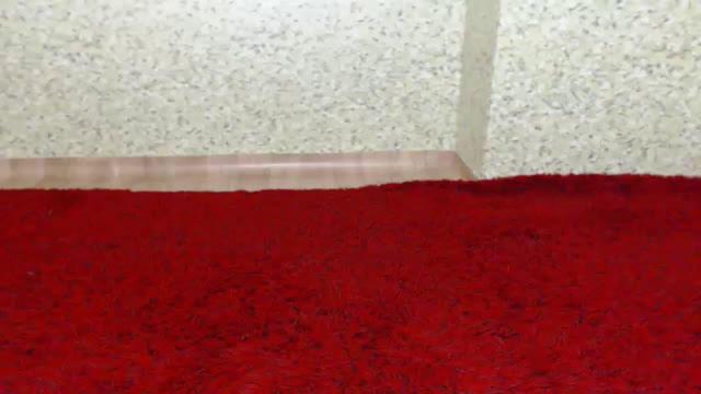 unetti porno [2017/02/14 18:30:41]