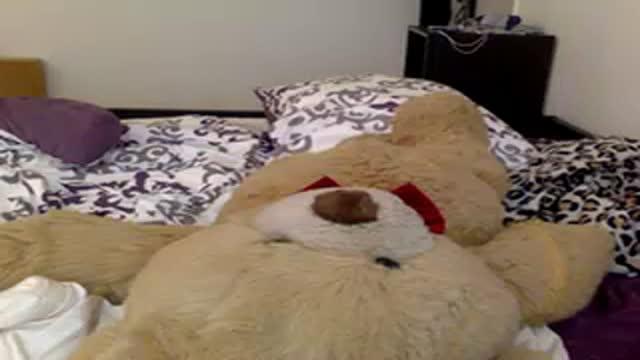 marieofromania sex [2016/05/27 07:17:23]