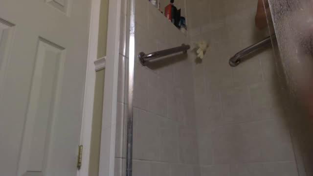 littleanddaddy adult [2016/10/04 09:50:31]