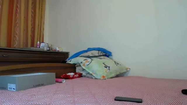 littlepusswet webcam [2016/03/28 11:01:12]