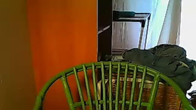 arabianloverx recorded [2015/06/09 13:30:52]