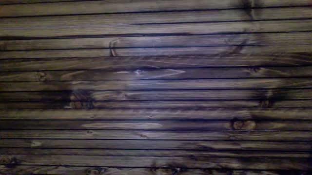 tylerandersn naked [2015/11/14 11:03:33]