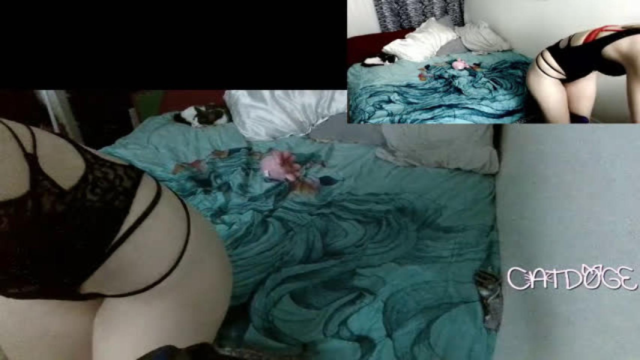 Catd0ge [2017-09-11 23:50:30]
