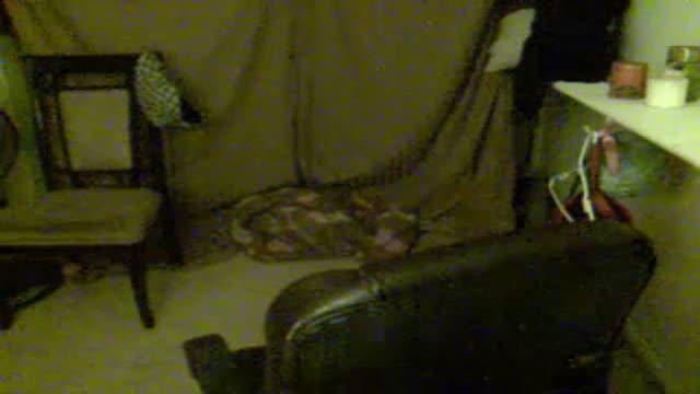 Justhavefun37 download [2016/07/10 12:00:28]