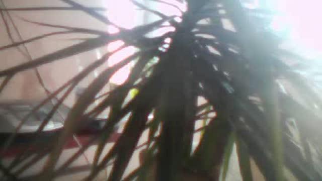 Zwiazany_Dymem video [2015/11/13 13:31:08]