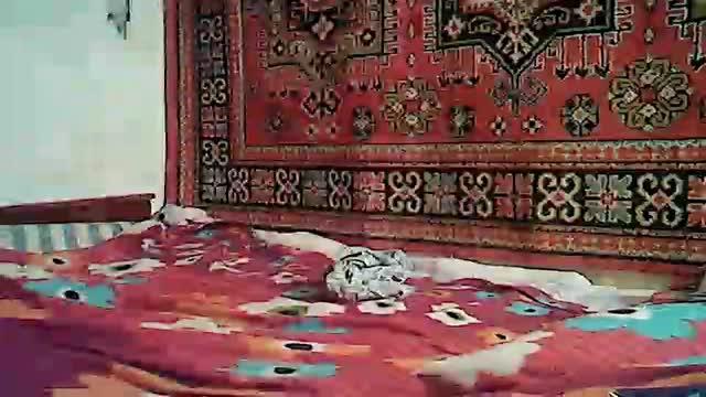 wadim77 recorded [2015/07/08 19:01:31]