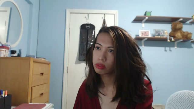 pareocom video [2016/12/08 22:26:09]