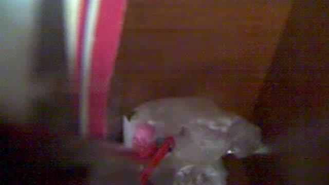 Zeffir2141 video [2015/07/23 15:01:47]