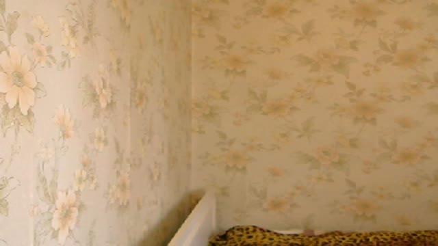 Walkiria recorded [2015/12/26 08:30:28]