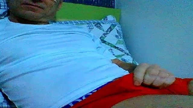 pongobrasil