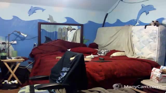 thedonkey883 download [2016/12/04 14:50:19]