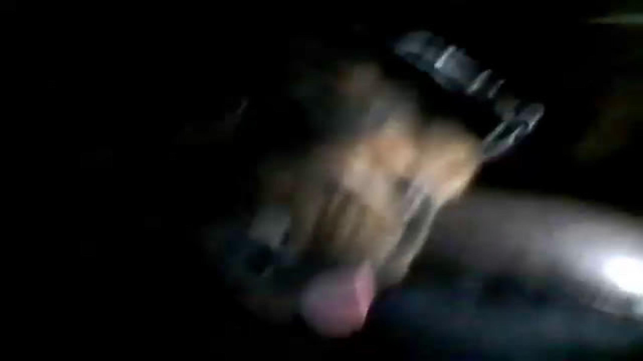 trickilydemanding [2019-11-02 09:50:39]