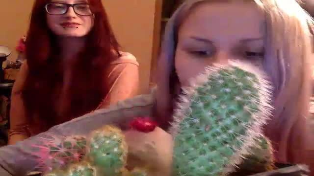 pirozhki show [2017/01/22 21:22:54]